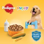 PEDIGREE Dry Dog Food Puppy Dog - Chicken and Egg with Milk Flavor 2.7kg