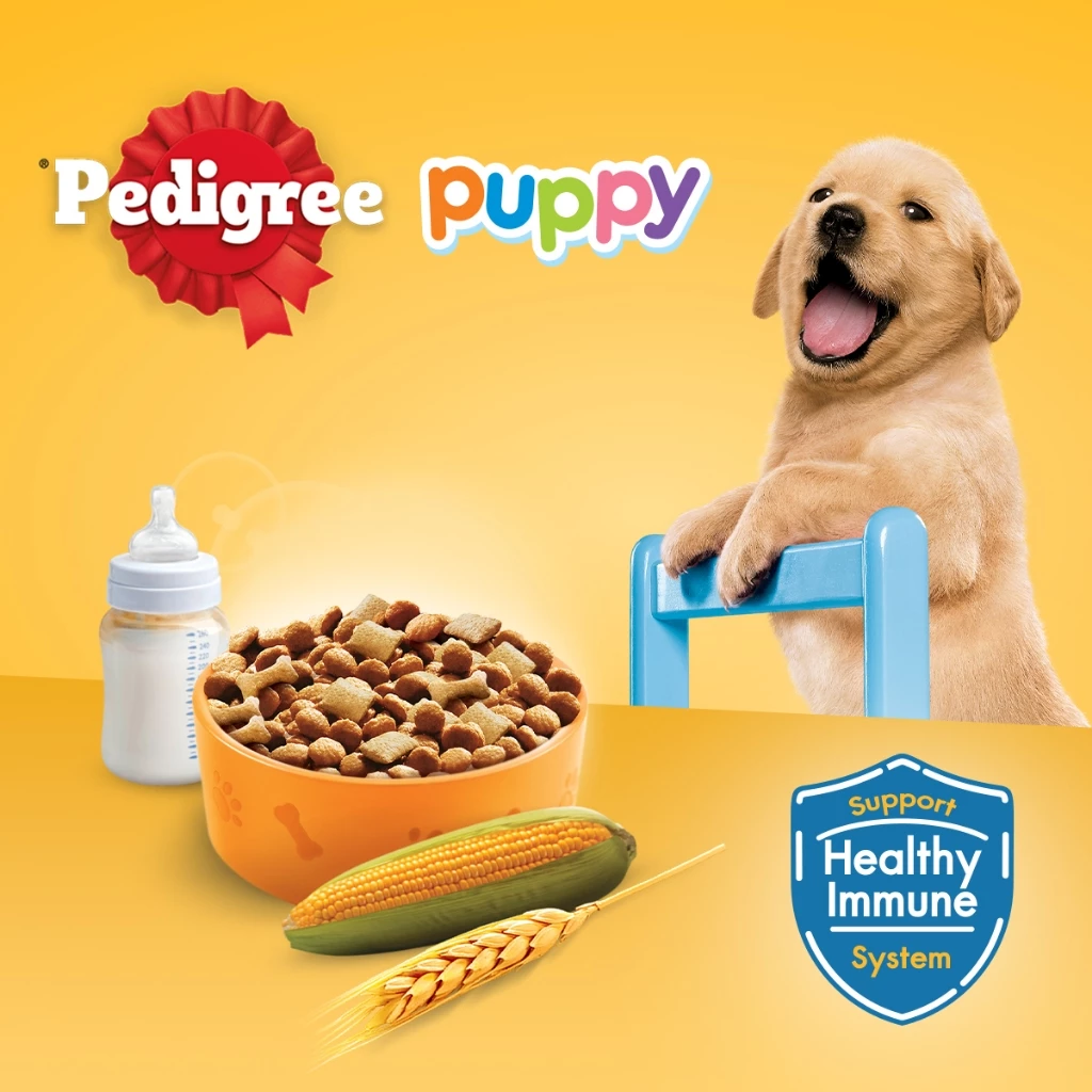 my-11134207-7r98u-lz1y7p00kmzt8a PEDIGREE Dry Dog Food Puppy Dog - Chicken and Egg with Milk Flavor 2.7kg - Image 1